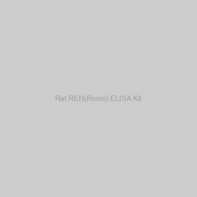 FN Test - Rat REN(Renin) ELISA Kit